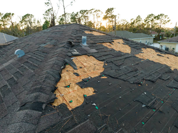 Best Metal Roofing Installation  in Wye, MT